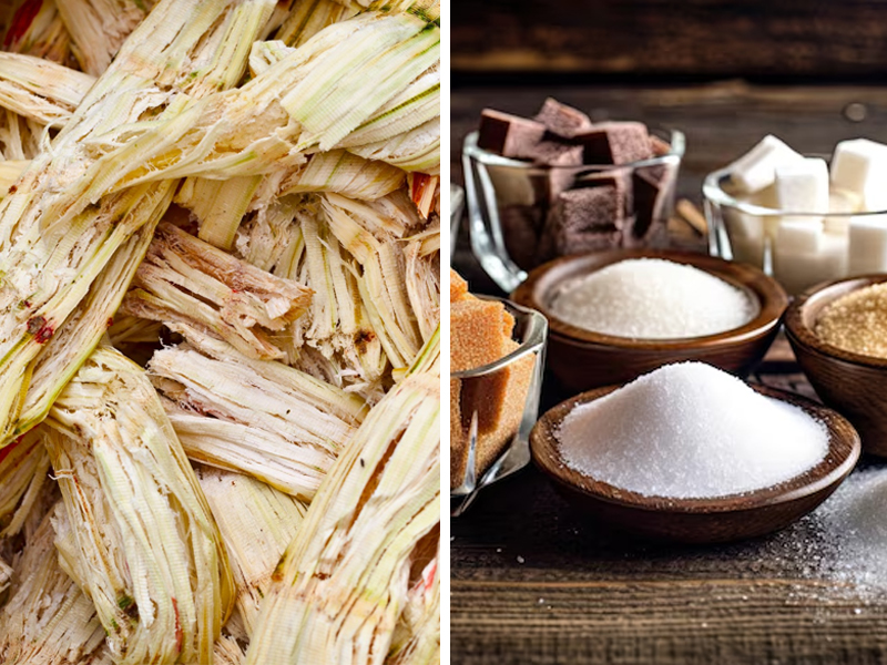 sugar residue organic fertilizer production equipment