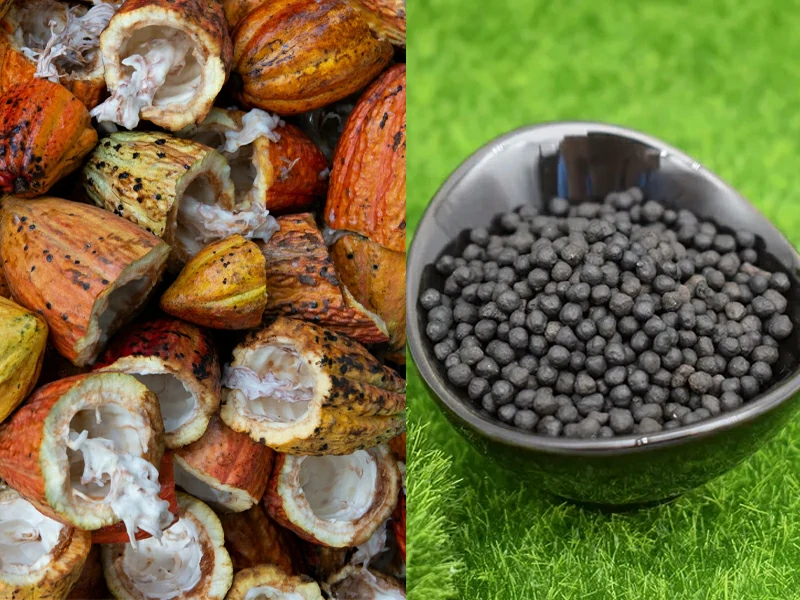 How to Turn Cocoa Pod Waste into Organic Fertilizer: A Complete Guide to Cocoa Pod Organic Fertilizer Production Equipment